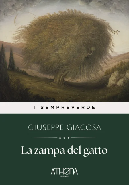 La zampa del gatto